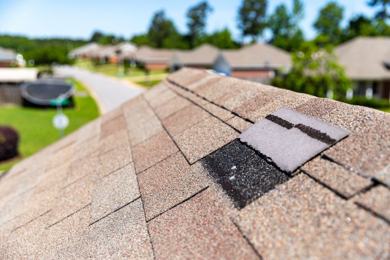Identifying Common Shingle Problems in Palm Springs