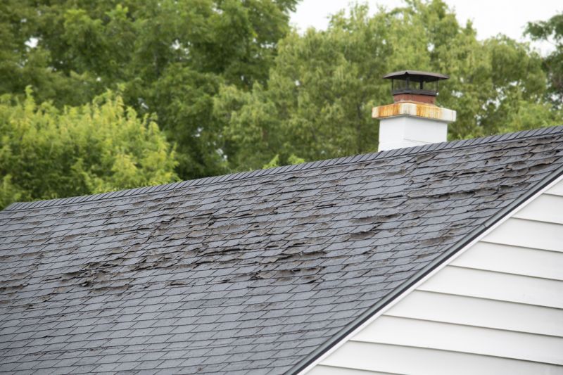 Understanding Roof Shingle Damage and Repair Options