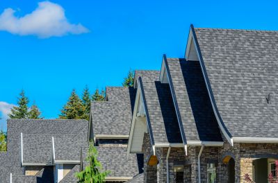 Roof Shingle Types