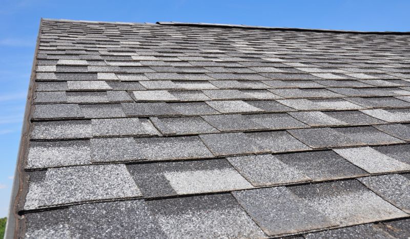 Understanding Shingle Materials and Finishes