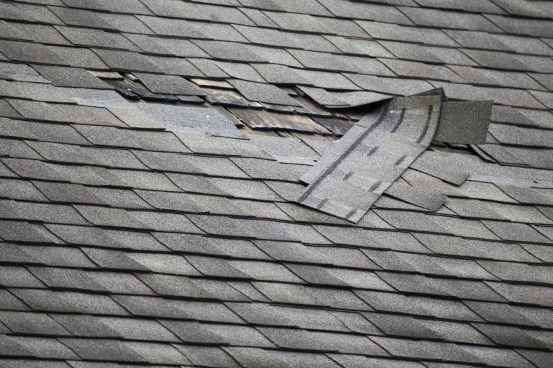 Identifying Common Causes of Roof Leaks
